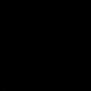 Meet your Posher, Adamo